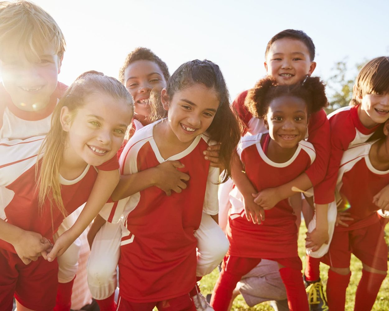 ukactive-PE-School-Premium